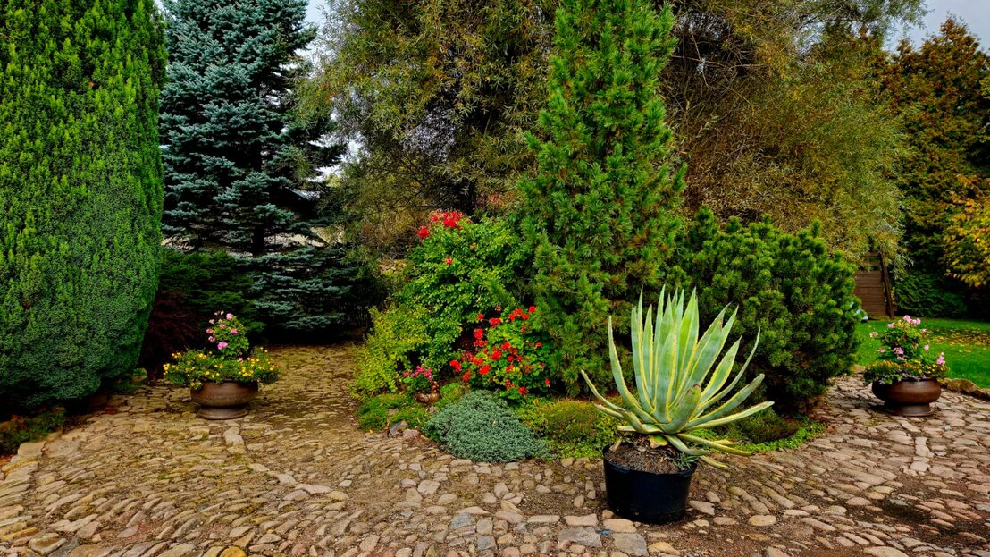 Ruhige grüne Umgebung